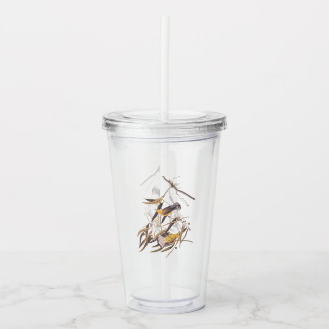 Audubon's Yellow Prothonotary Warbler Bird Pair Acrylic Tumbler (Front)