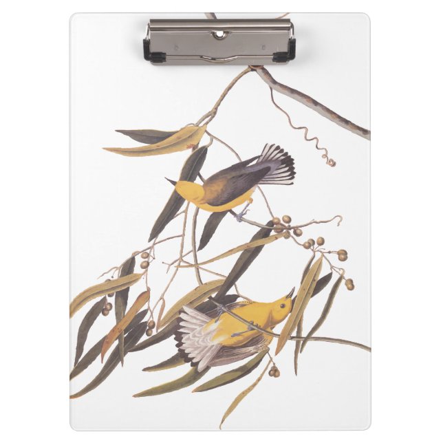 Audubon's Yellow Prothonotary Warbler Bird Pair Clipboard (Front)