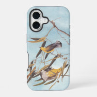 Audubon's Yellow Prothonotary Warbler Bird Pair