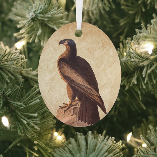 Audubon's Young Bald Eagle on Brown Rock Metal Tree Decoration (Insitu)