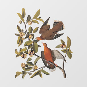 Audubon's Zenaida Dove Birds on Tree Branch Window Cling