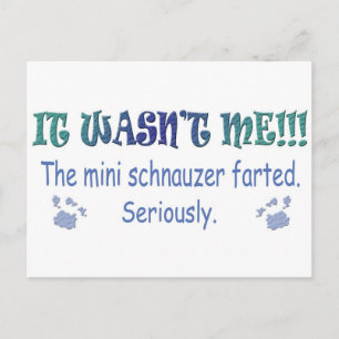 aug315fartMiniSchnauzer.jpg Postcard