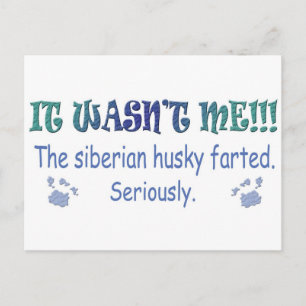 aug315fartSiberianHusky.jpg Postcard