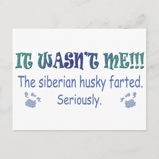 aug315fartSiberianHusky.jpg Postcard (Front)