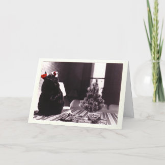 Auggie's Christmas Holiday Card