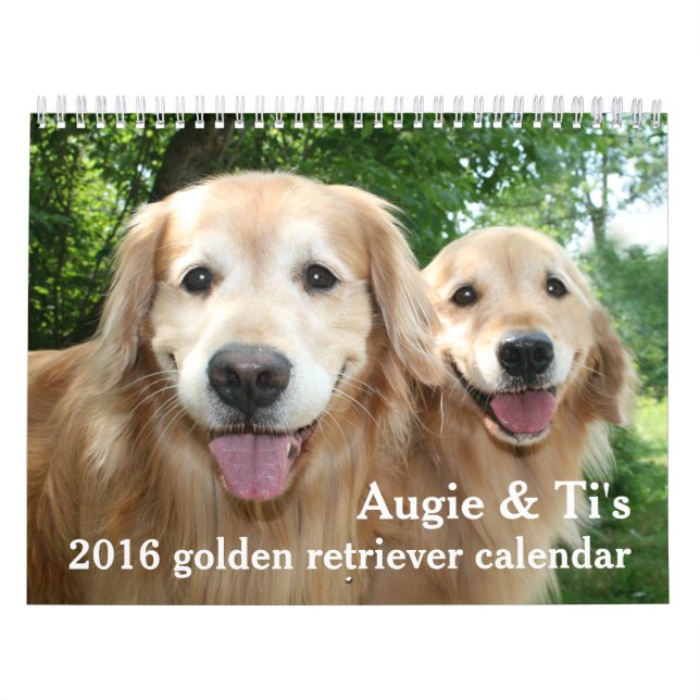 Augie and Ti's 2016 Golden Retriever Dog Calendar (Cover)