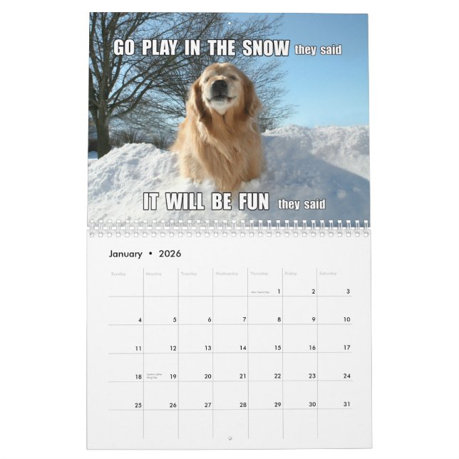 Augie & Ti's Jokes and Memes 2015 Golden Retriever Calendar (Jan 2026)