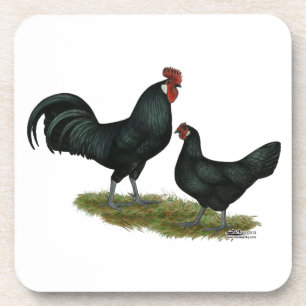 Augsberger Chickens Coaster