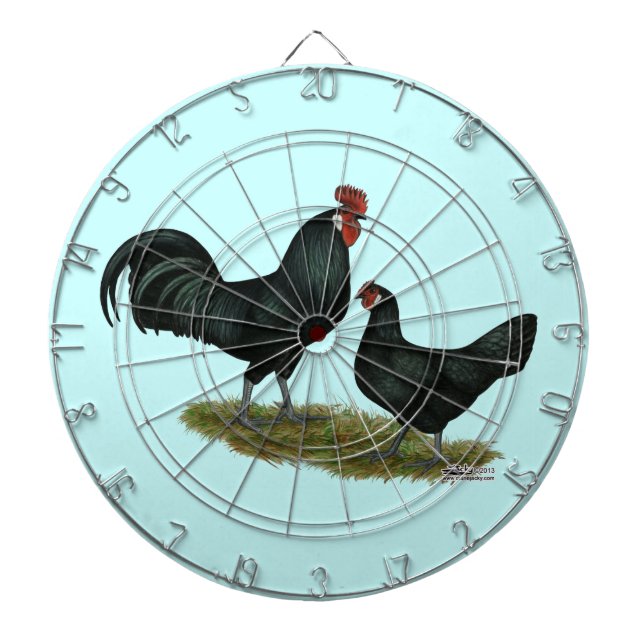 Augsburger Chickens Dartboard (Front)