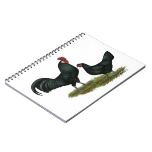 Augsburger Chickens Notebook