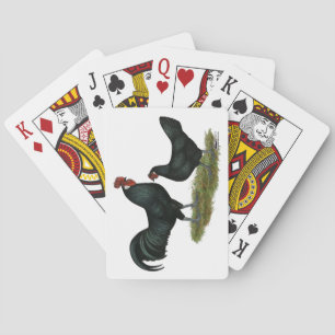Augsburger Chickens Playing Cards