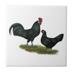 Augsburger Chickens Tile