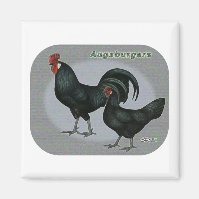 Augsburger Fowl Magnet (Front)