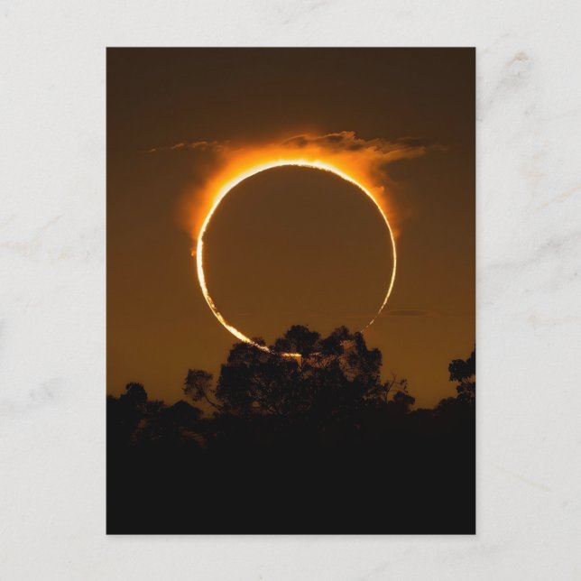 August 12 2026 total solar eclipse greenland  holiday postcard (Front)