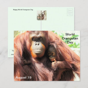August 19 - World Orangutan Day Postcard