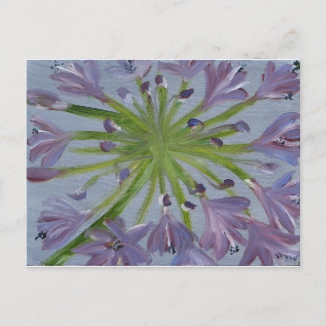 August Agapanthus Postcard (Front)