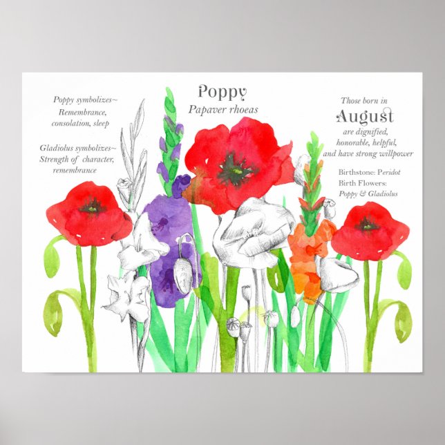 August Birthday Poppies Gladiolus Birth Flower Poster (Front)