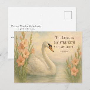 August Elegant Swans Christian Inspirational  Postcard