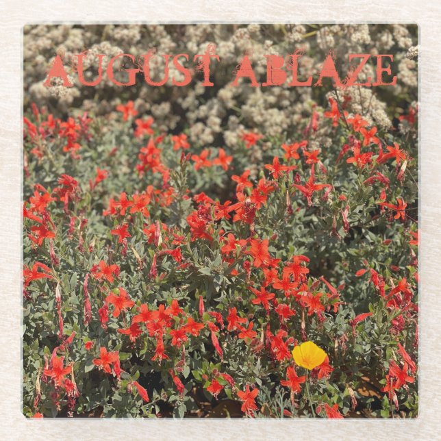 August Glass Coaster (Front)