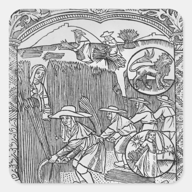 August, harvesting, Leo Square Sticker (Front)