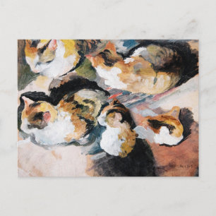 August Macke's Katzenstudien (Study of a Cat) Postcard