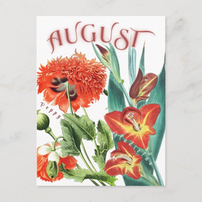 August Month Flowers Gladiolus & Poppy Fancy Postcard (Front)