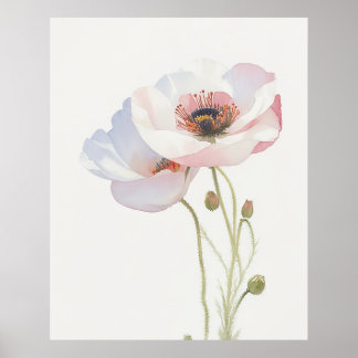 August Poppy Birth Flower Poster