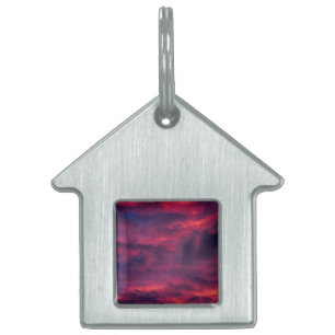 august red pet ID tag
