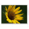 August Sunflower Card 5X7