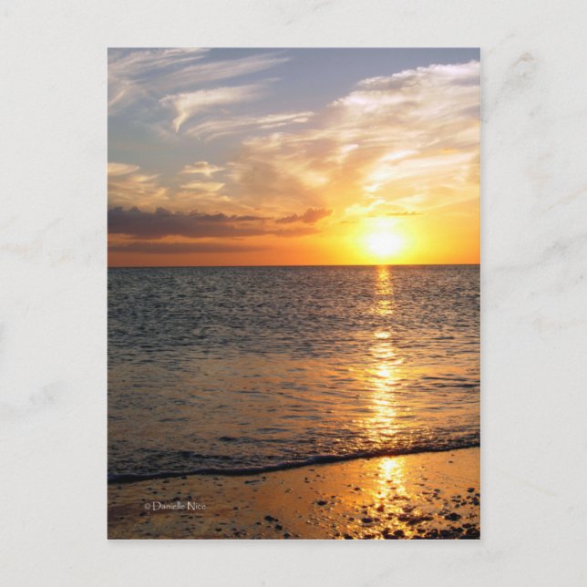 August Sunset Postcard (Front)