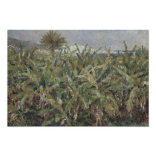 Auguste Renoir - Field of Banana Trees Photo Print