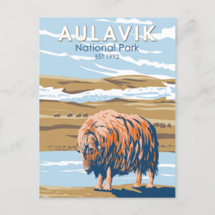 Aulavik National Park Canada Musk Ox Vintage Postcard