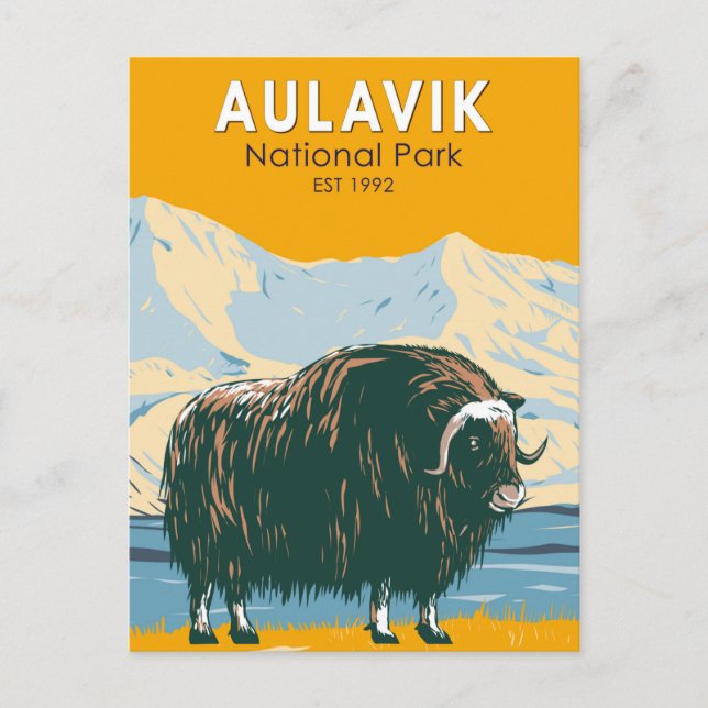 Aulavik National Park Canada Muskox Vintage Postcard (Front)