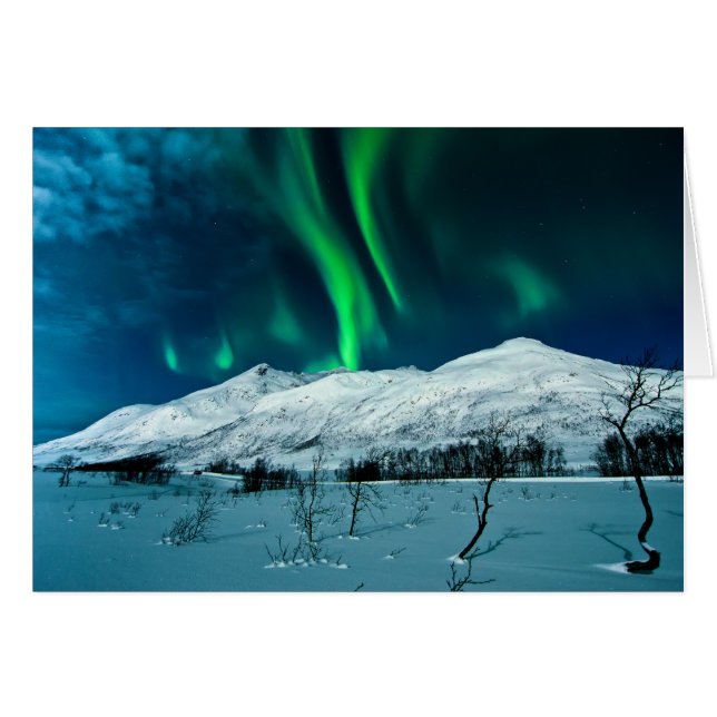 Aurora (Front Horizontal)