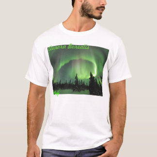 Aurora borealis 2 T-Shirt
