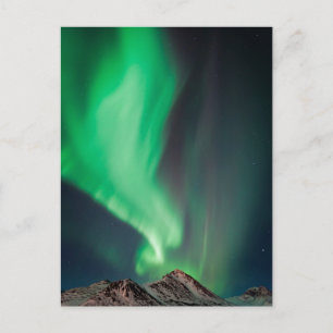 Aurora Borealis Anchorage, Alaska Postcard