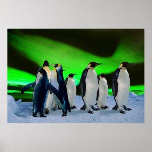 Aurora borealis and penguins poster