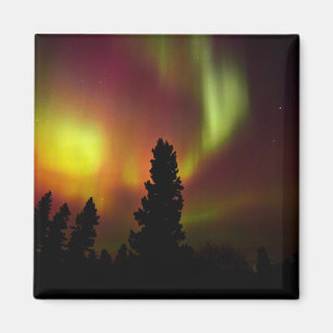 Aurora Borealis and Trees Magnet