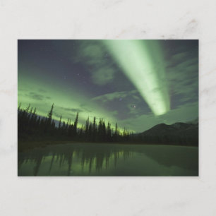 Aurora borealis are reflected in tundra pond postcard