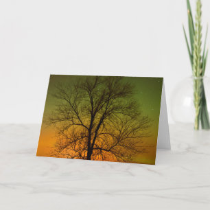 Aurora Borealis & Cottonwood Tree Card