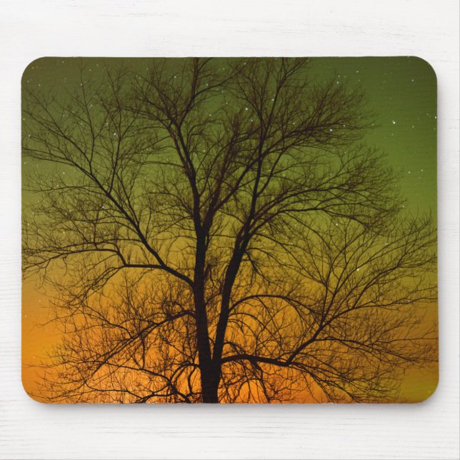 Aurora Borealis & Cottonwood Tree Mouse Mat (Front)