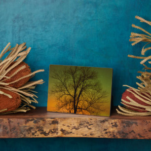 Aurora Borealis & Cottonwood Tree Plaque