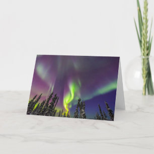 Aurora Borealis Fairbanks, Alaska Card