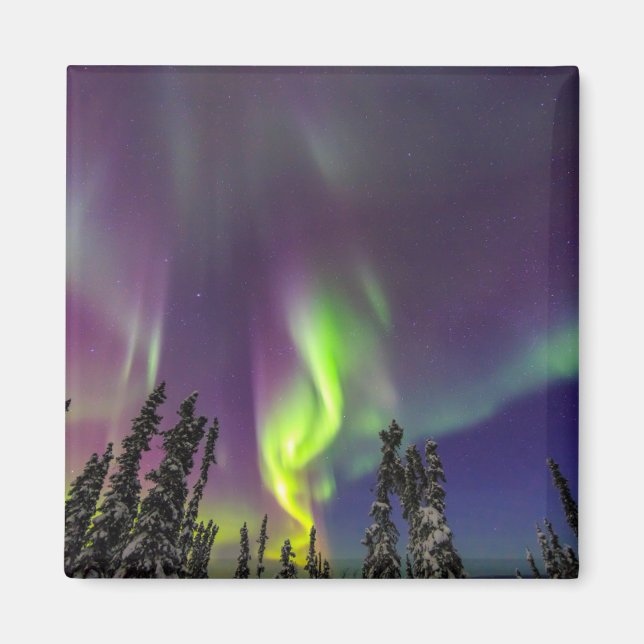 Aurora Borealis | Fairbanks, Alaska Magnet (Front)