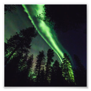 Aurora borealis in Finnish Lapland Photo Print