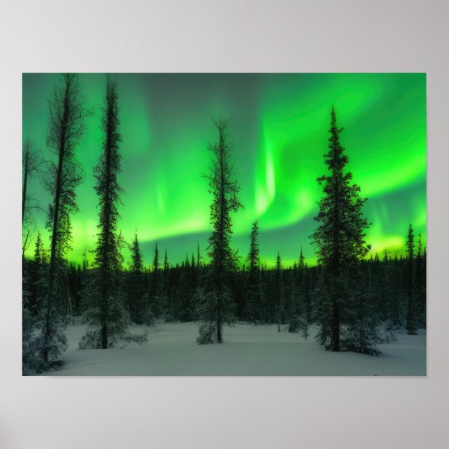 Aurora borealis in winter poster (Front)