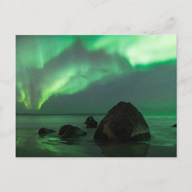 Aurora Borealis | Lofoten Beach Norway Postcard (Front)