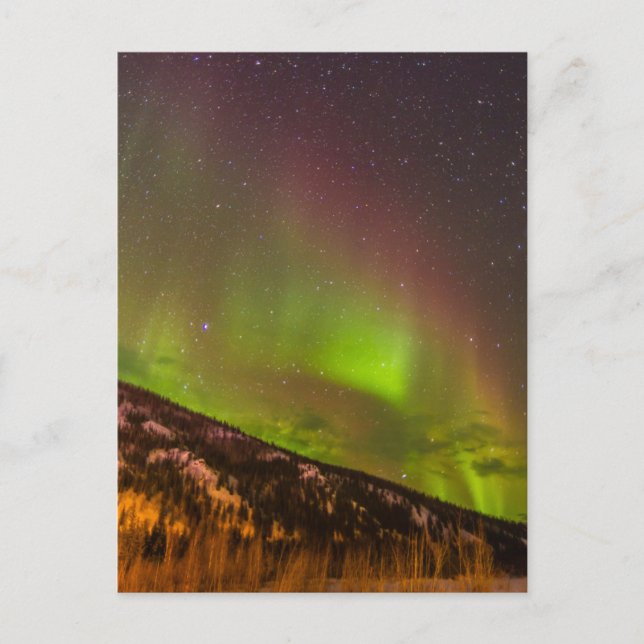 Aurora Borealis | Mountains Fairbanks Alaska Postcard (Front)