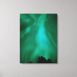 Aurora Borealis Nighttime Ontario, Canada Canvas Print