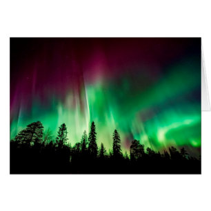 Aurora borealis northern lights